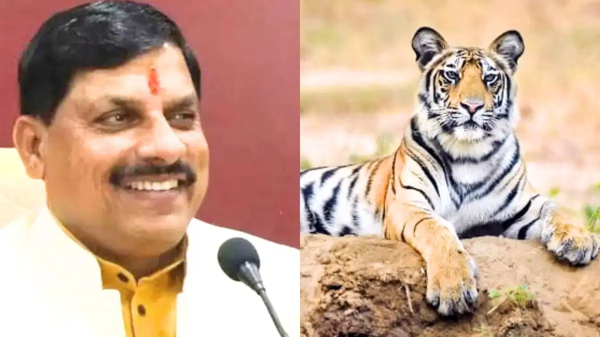 You are currently viewing चंबल क्षेत्र में बाघों का नया घर: मध्य प्रदेश को मिलेगा 9वां टाइगर रिजर्व, माधव राष्ट्रीय उद्यान बनेगा टाइगर रिजर्व; CM यादव बोले- जल्द जारी होगी अधिसूचना