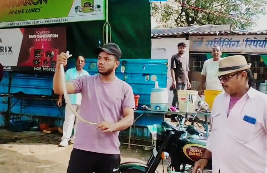 Read more about the article सागर में बुलेट से निकला ज़हरीला रसेल वाइपर, बाल-बाल बची छात्र की जान; दो घंटे तक मौत को लेकर घूमता रहा लकी!