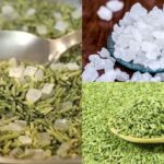 सौंफ और मिश्री का पानी: बॉडी डिटॉक्स से लेकर पाचन सुधार तक, जानें इसके चमत्कारी फायदे
