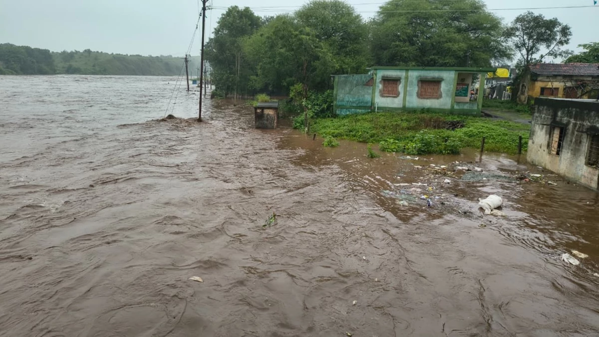 Read more about the article मध्यप्रदेश में झमाझम बारिश का कहर: बुरहानपुर में मोहल्लों से लेकर खेतों तक पानी, फसलें डूबीं और मकान ढहे; मौसम विभाग ने 25-26 सितंबर को तेज बारिश का अलर्ट जारी किया!