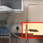 एमवायएच के एनआईसीयू में दो नवजातों की मौत: परिजन बोले—”चूहों ने कुतरा”, प्रशासन बोला—”बच्चों की मौत दूसरी वजहों से”; सरकार और विपक्ष आमने-सामने!