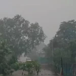 MP में मानसून ने तोड़ा रिकॉर्ड: अब तक 7.4 इंच ज्यादा बरसा पानी, गुना टॉप पर – खरगोन सबसे पीछे