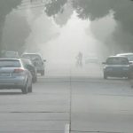 MP Weather Update: एमपी में अगले 4 दिन तेज सर्दी का दौर, कटनी सबसे ठंडा शहर, 8 जिलों में कोहरे का यलो अलर्ट