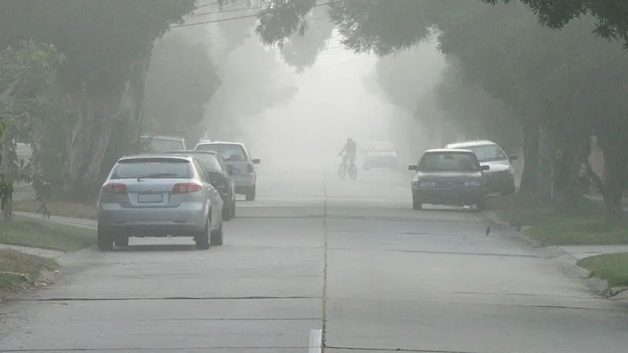 You are currently viewing MP Weather Update: एमपी में अगले 4 दिन तेज सर्दी का दौर, कटनी सबसे ठंडा शहर, 8 जिलों में कोहरे का यलो अलर्ट