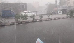 Read more about the article MP में मौसम का यू-टर्न: 42 जिलों में बारिश-आंधी, 12 जिलों में ओले; फसलों को नुकसान