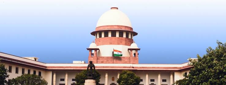 You are currently viewing आवारा पशुओं से सड़क हादसों पर सुप्रीम कोर्ट सख्त, पीड़ितों को मुआवजे के लिए कानून बनाने की सलाह